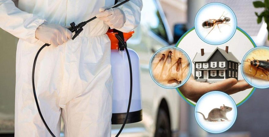 Çumra Böcek İlaçlama