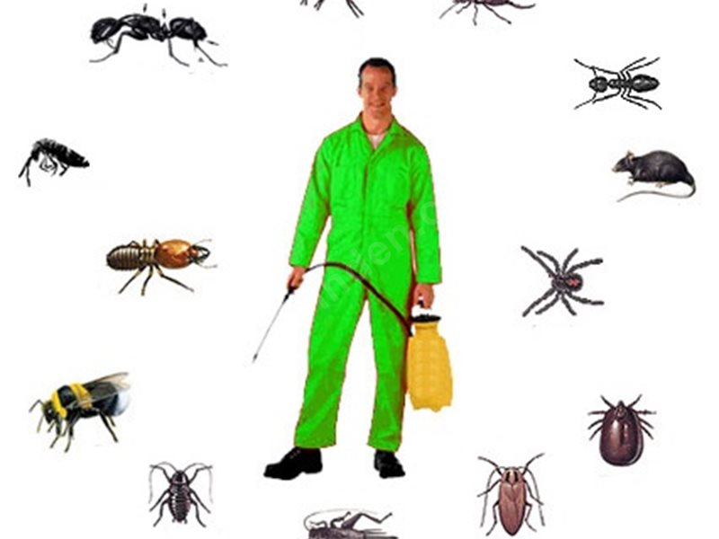 Çumra Böcek İlaçlama